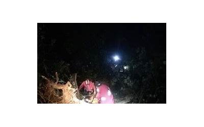 苹果平板mini价格,苹果平板mini售价新变化，快来了解购买攻略！