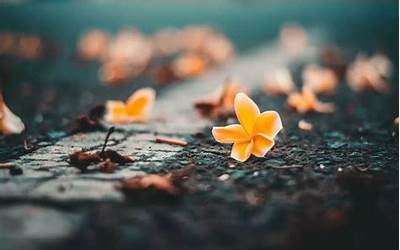 苹果4s能卖多少钱,你的苹果4s能以什么价格出售？