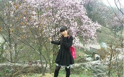 小辣椒手机倒闭了吗,小辣椒手机品牌已退出市场