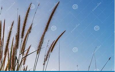 华硕电脑保修期怎么查询，华硕主板查保修时间的方法是怎样的  第1张