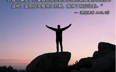 摩托罗拉328掌中宝,摩托罗拉328拥有的神奇能力