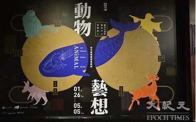 联想昭阳e41,暮光初现，昭阳E41启程