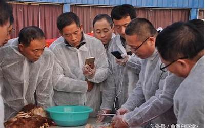 整体综合性能最好的5g手机（5G手机综合评测排行榜）  第1张