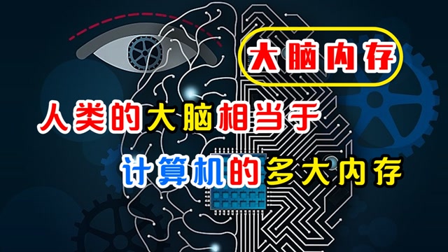 CPU 内存硬盘：计算机的大脑、记忆力和永久存储，谁才是最重要的？