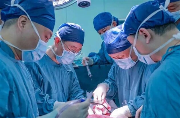我国完成首例猪肝人体移植：移植肝脏已持续工作超96小时  第1张