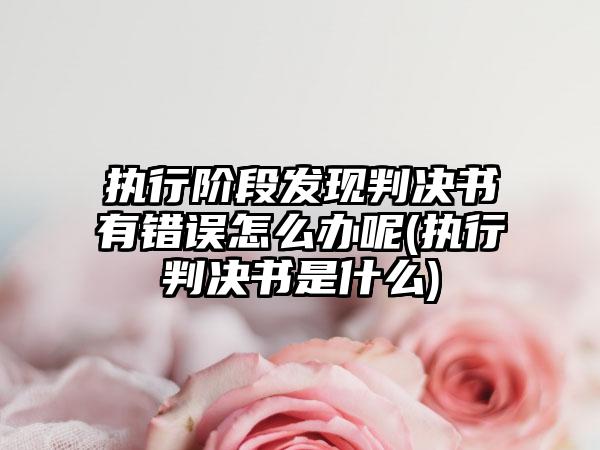 执行阶段发现判决书有错误怎么办呢(执行判决书是什么)