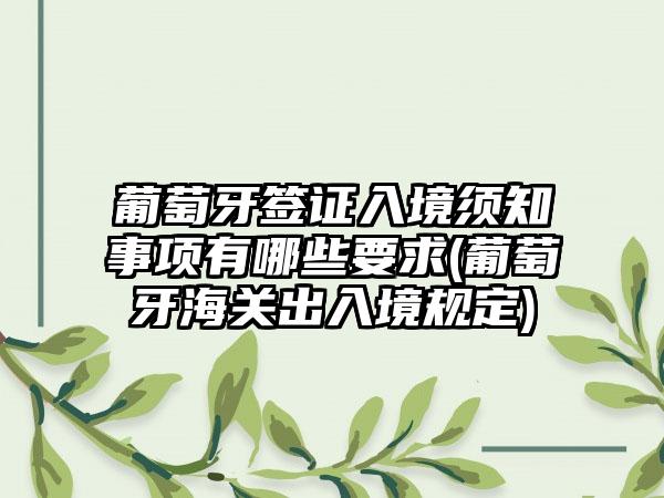 葡萄牙签证入境须知事项有哪些要求(葡萄牙海关出入境规定)  第1张