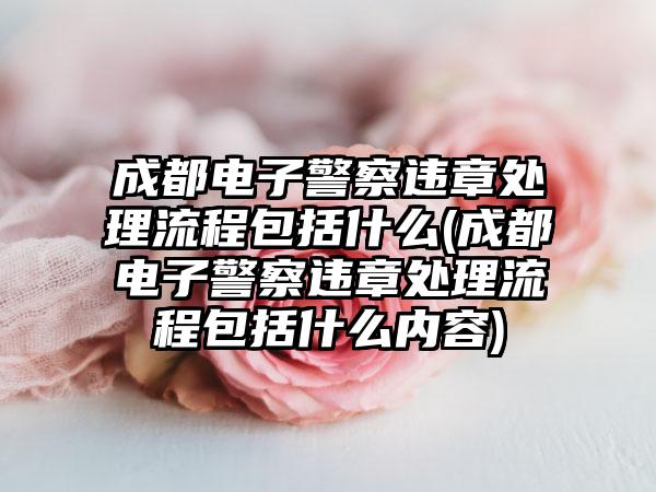 成都电子警察违章处理流程包括什么(成都电子警察违章处理流程包括什么内容)  第1张