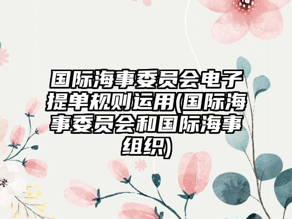 国际海事委员会电子提单规则运用(国际海事委员会和国际海事组织)