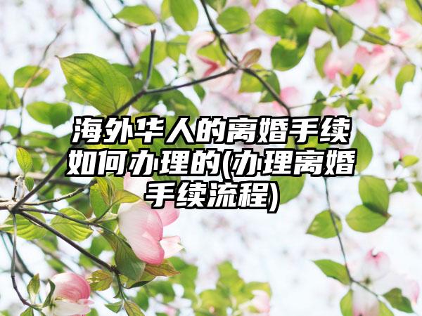 海外华人的离婚手续如何办理的(办理离婚手续流程)