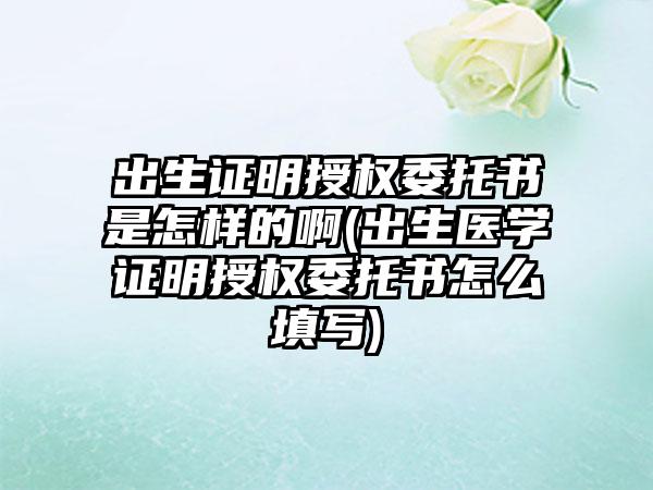 出生证明授权委托书是怎样的啊(出生医学证明授权委托书怎么填写)  第1张