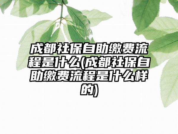 成都社保自助缴费流程是什么(成都社保自助缴费流程是什么样的)  第1张