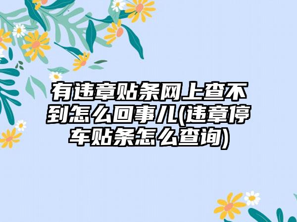 有违章贴条网上查不到怎么回事儿(违章停车贴条怎么查询)