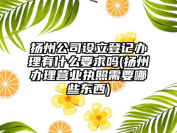 扬州公司设立登记办理有什么要求吗(扬州办理营业执照需要哪些东西)  第1张