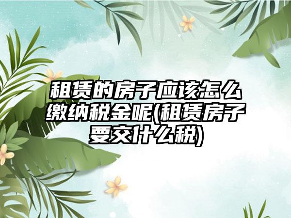 租赁的房子应该怎么缴纳税金呢(租赁房子要交什么税)