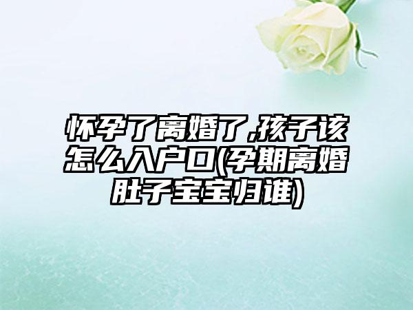 怀孕了离婚了,孩子该怎么入户口(孕期离婚肚子宝宝归谁)  第1张