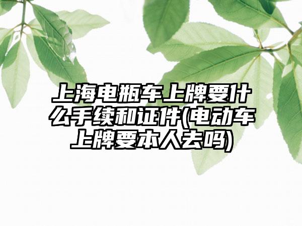 上海电瓶车上牌要什么手续和证件(电动车上牌要本人去吗)  第1张