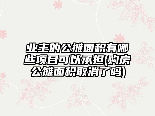 业主的公摊面积有哪些项目可以承担(购房公摊面积取消了吗)