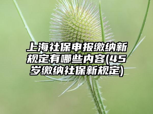 上海社保申报缴纳新规定有哪些内容(45岁缴纳社保新规定)  第1张