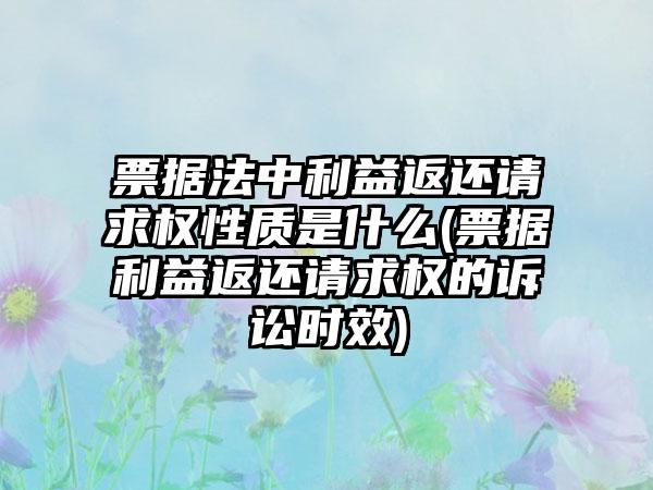 票据法中利益返还请求权性质是什么(票据利益返还请求权的诉讼时效)  第1张