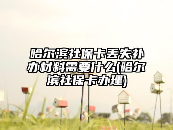 哈尔滨社保卡丢失补办材料需要什么(哈尔滨社保卡办理)