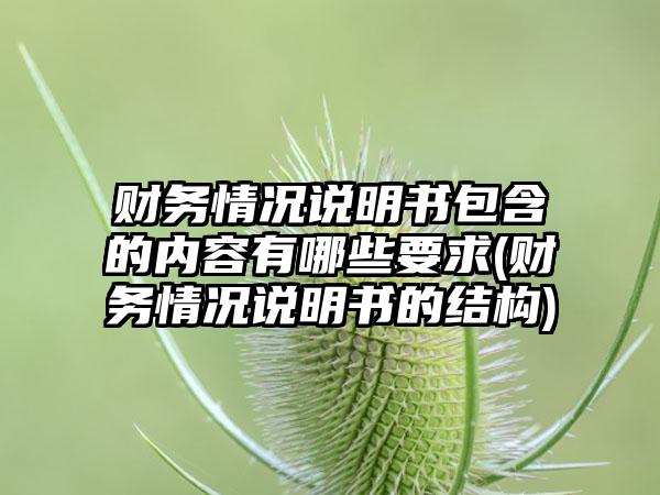 财务情况说明书包含的内容有哪些要求(财务情况说明书的结构)