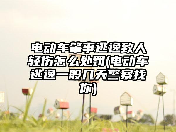 电动车肇事逃逸致人轻伤怎么处罚(电动车逃逸一般几天警察找你)  第1张