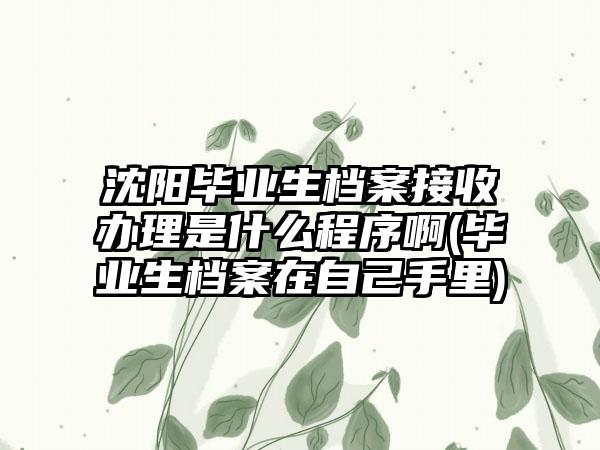 沈阳毕业生档案接收办理是什么程序啊(毕业生档案在自己手里)  第1张