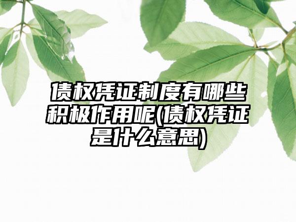 债权凭证制度有哪些积极作用呢(债权凭证是什么意思)