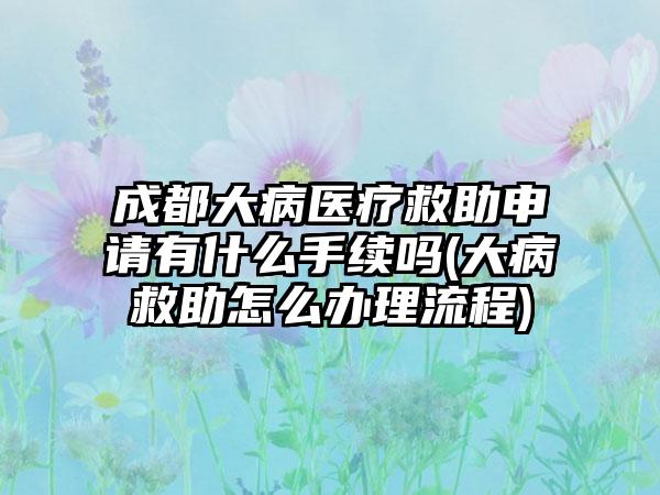 成都大病医疗救助申请有什么手续吗(大病救助怎么办理流程)