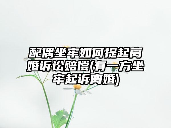 配偶坐牢如何提起离婚诉讼赔偿(有一方坐牢起诉离婚)  第1张