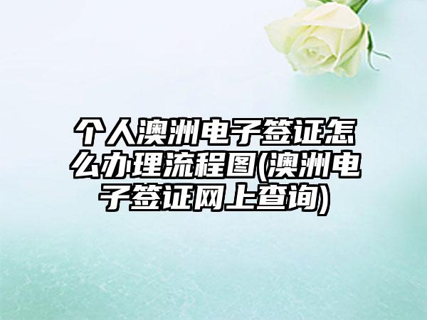 个人澳洲电子签证怎么办理流程图(澳洲电子签证网上查询)