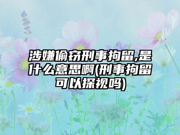 涉嫌偷窃刑事拘留,是什么意思啊(刑事拘留可以探视吗)  第1张