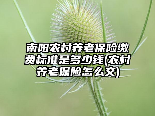 南阳农村养老保险缴费标准是多少钱(农村养老保险怎么交)