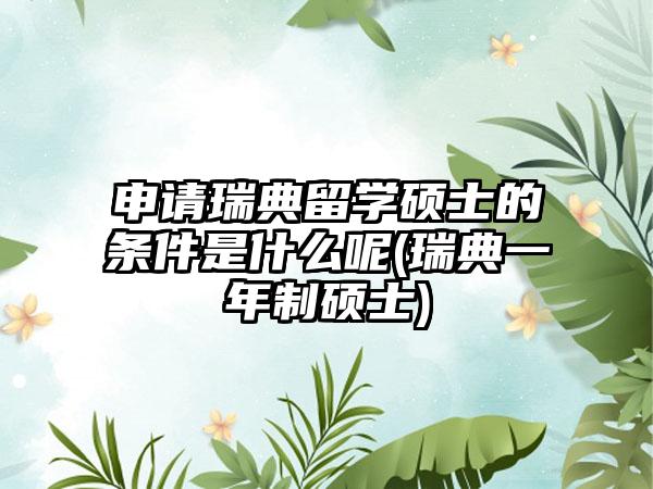 申请瑞典留学硕士的条件是什么呢(瑞典一年制硕士)  第1张