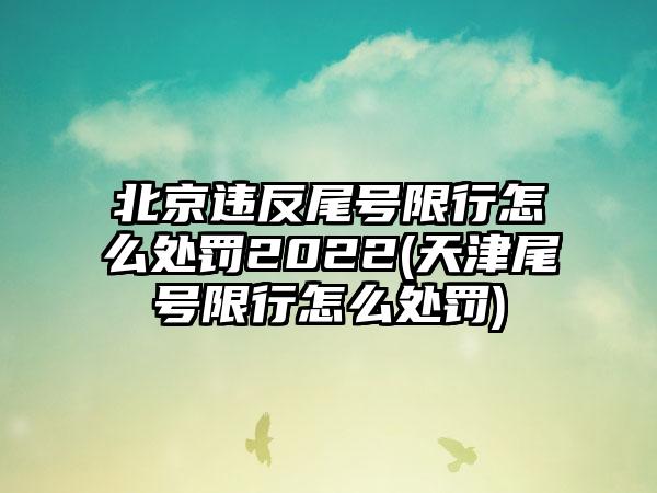 北京违反尾号限行怎么处罚2022(天津尾号限行怎么处罚)  第1张