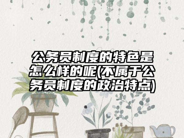 公务员制度的特色是怎么样的呢(不属于公务员制度的政治特点)