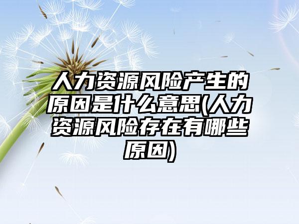 人力资源风险产生的原因是什么意思(人力资源风险存在有哪些原因)  第1张