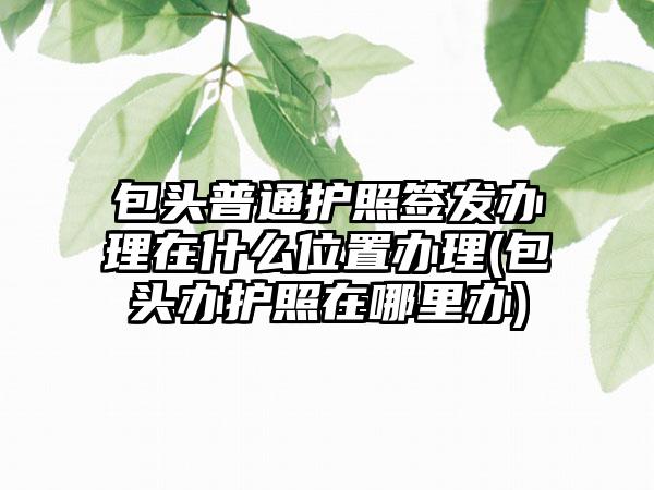 包头普通护照签发办理在什么位置办理(包头办护照在哪里办)  第1张