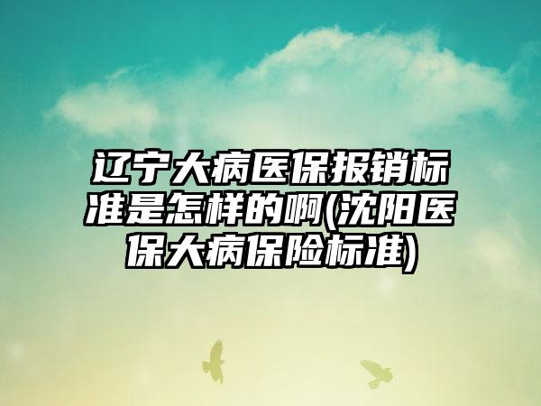 辽宁大病医保报销标准是怎样的啊(沈阳医保大病保险标准)  第1张