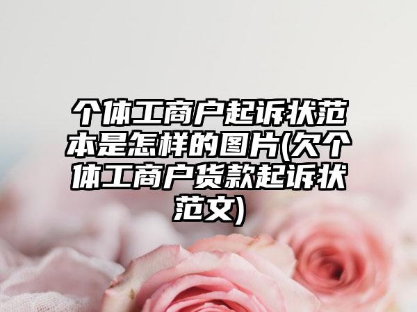 个体工商户起诉状范本是怎样的图片(欠个体工商户货款起诉状范文)  第1张