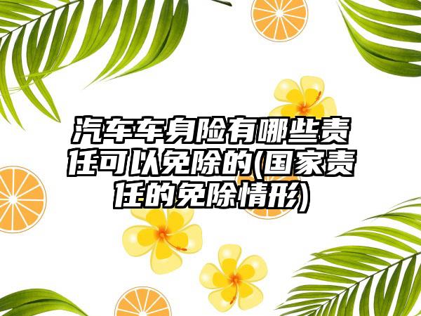 汽车车身险有哪些责任可以免除的(国家责任的免除情形)  第1张