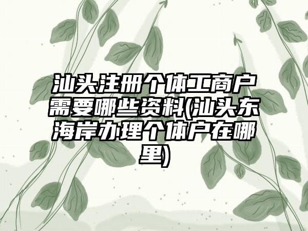 汕头注册个体工商户需要哪些资料(汕头东海岸办理个体户在哪里)