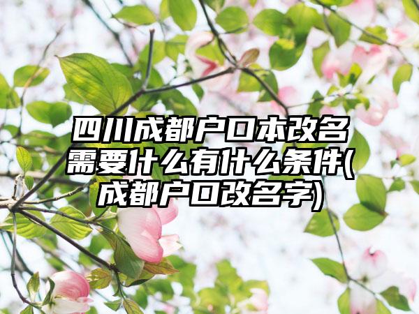 四川成都户口本改名需要什么有什么条件(成都户口改名字)  第1张