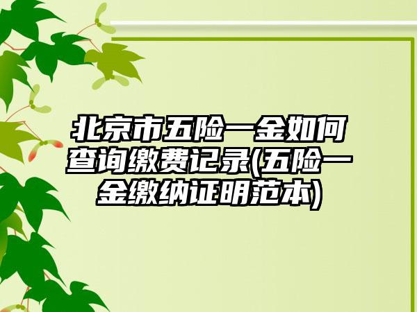 北京市五险一金如何查询缴费记录(五险一金缴纳证明范本)  第1张