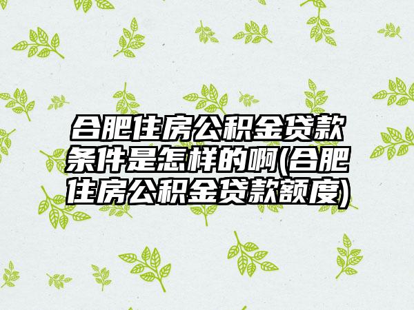 合肥住房公积金贷款条件是怎样的啊(合肥住房公积金贷款额度)  第1张