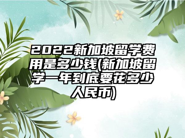 2022新加坡留学费用是多少钱(新加坡留学一年到底要花多少人民币)