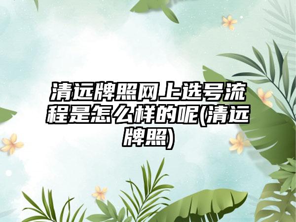 清远牌照网上选号流程是怎么样的呢(清远牌照)  第1张