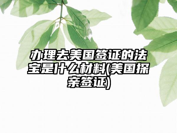 办理去美国签证的法宝是什么材料(美国探亲签证)  第1张