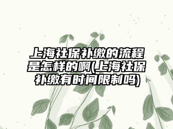 上海社保补缴的流程是怎样的啊(上海社保补缴有时间限制吗)  第1张